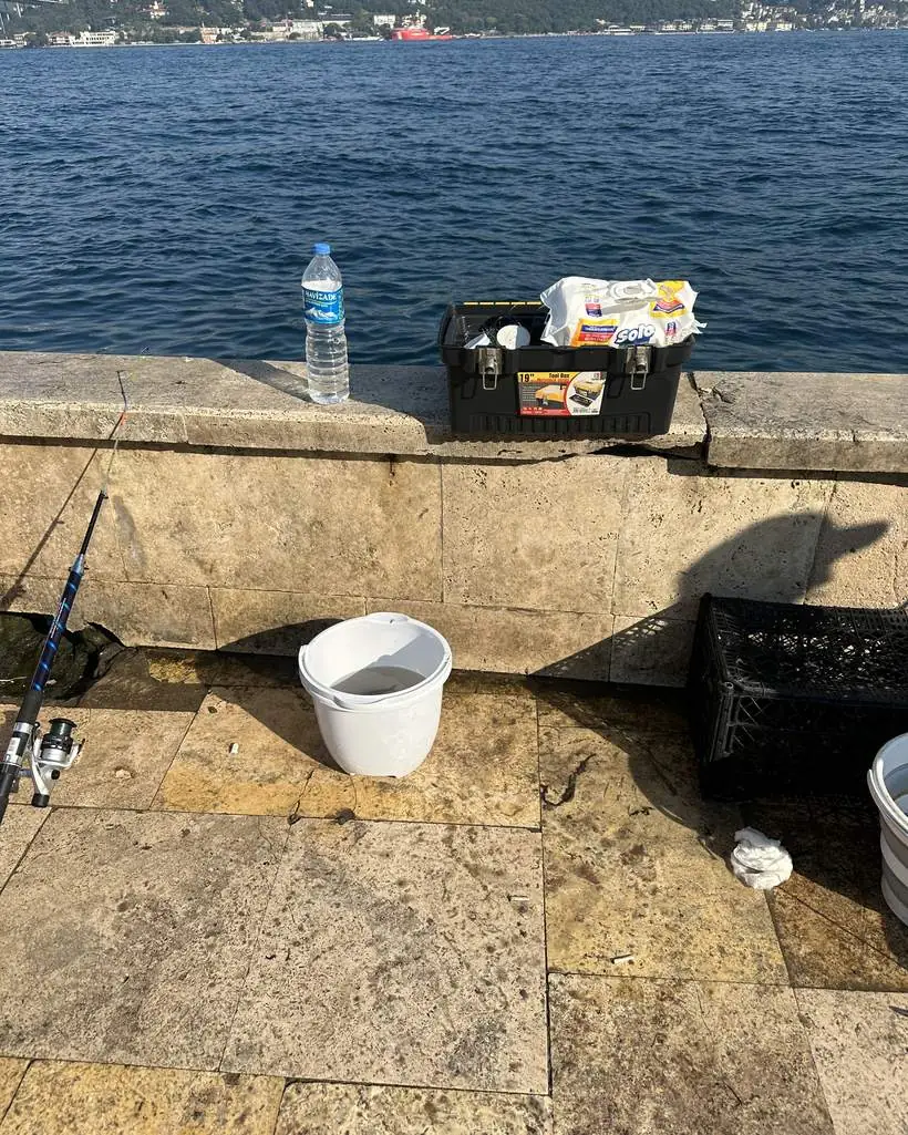 The quay in daylight with a rod set up